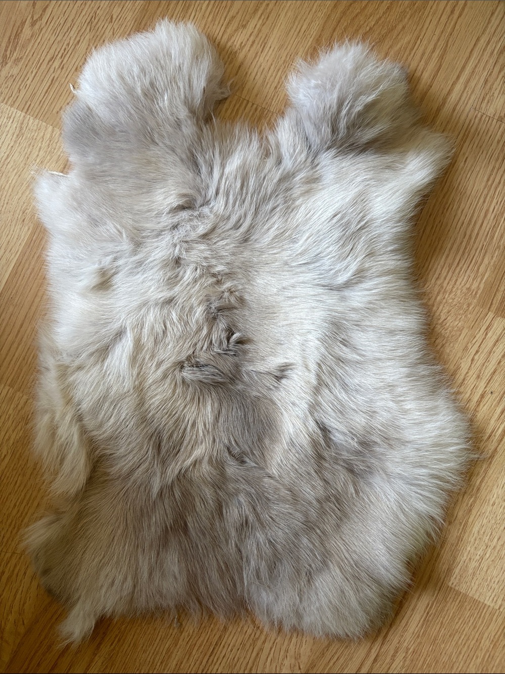B0106 rabbit pelt- Neutral Taupe